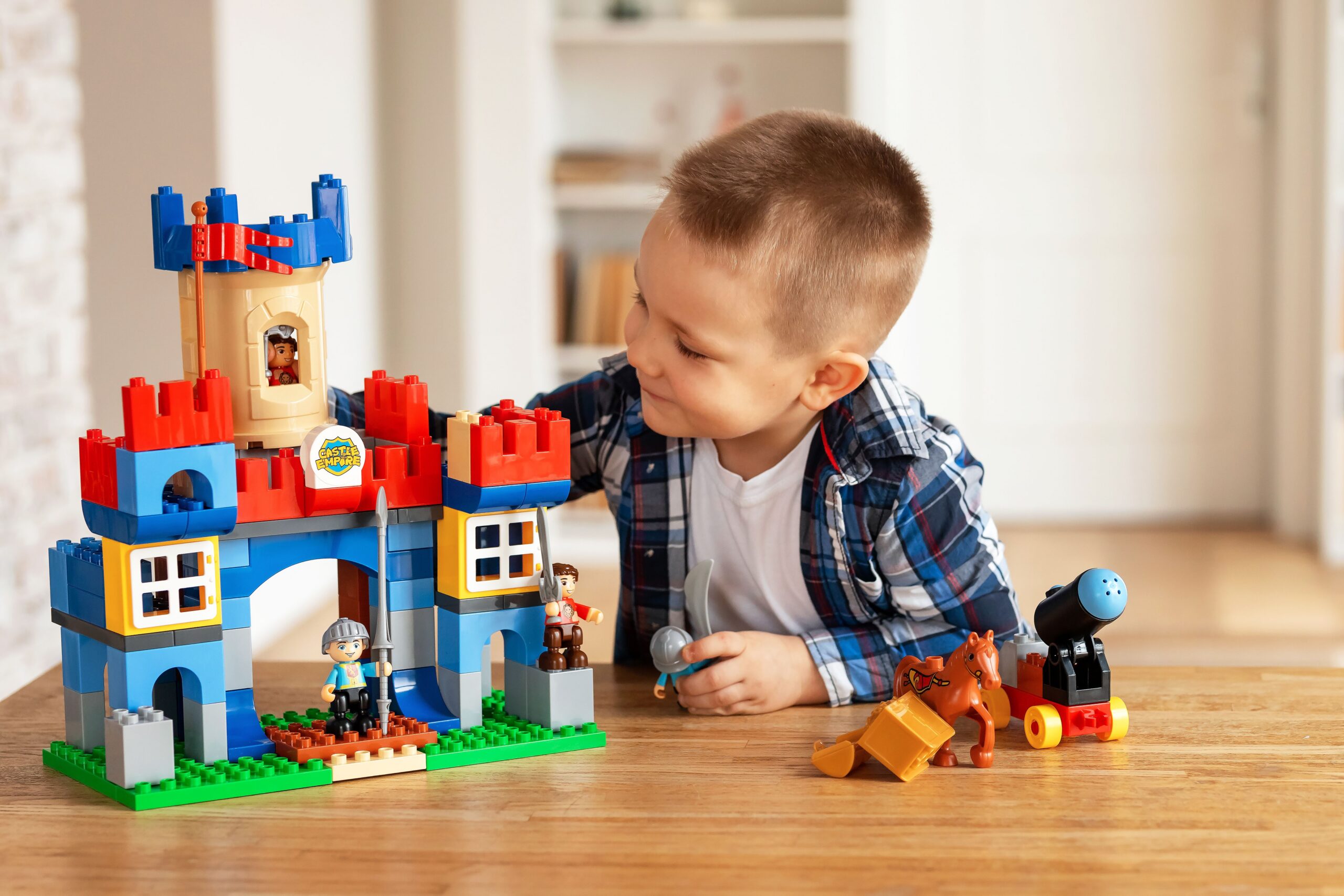 Brick Buddies social program